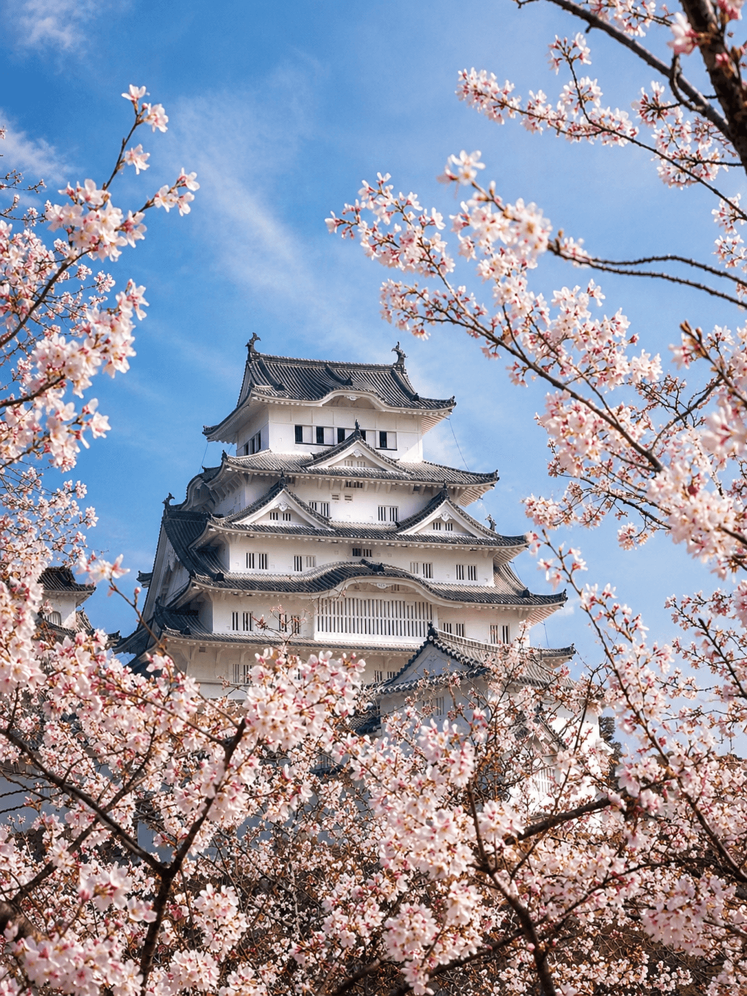 The cover of a printed Voyabello Memory Book titled Kyoto, quietly, March 2026, with Himeji Castle among cherry blossoms