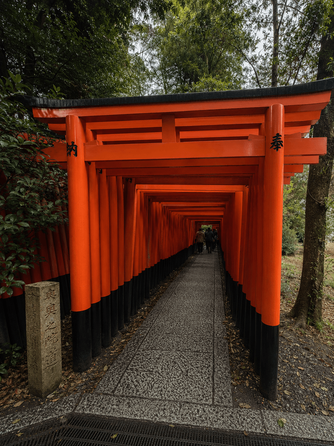 A photo print from the Kyoto trip, the red gates of Fushimi Inari