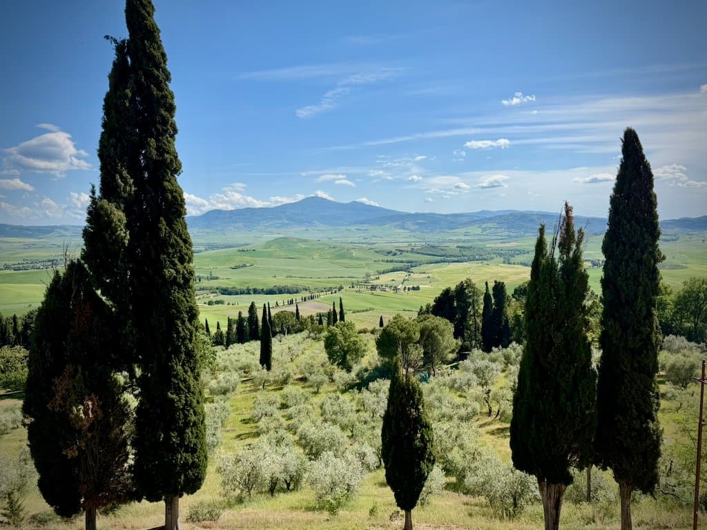 Cypress trees above the green hills of Val d'Orcia