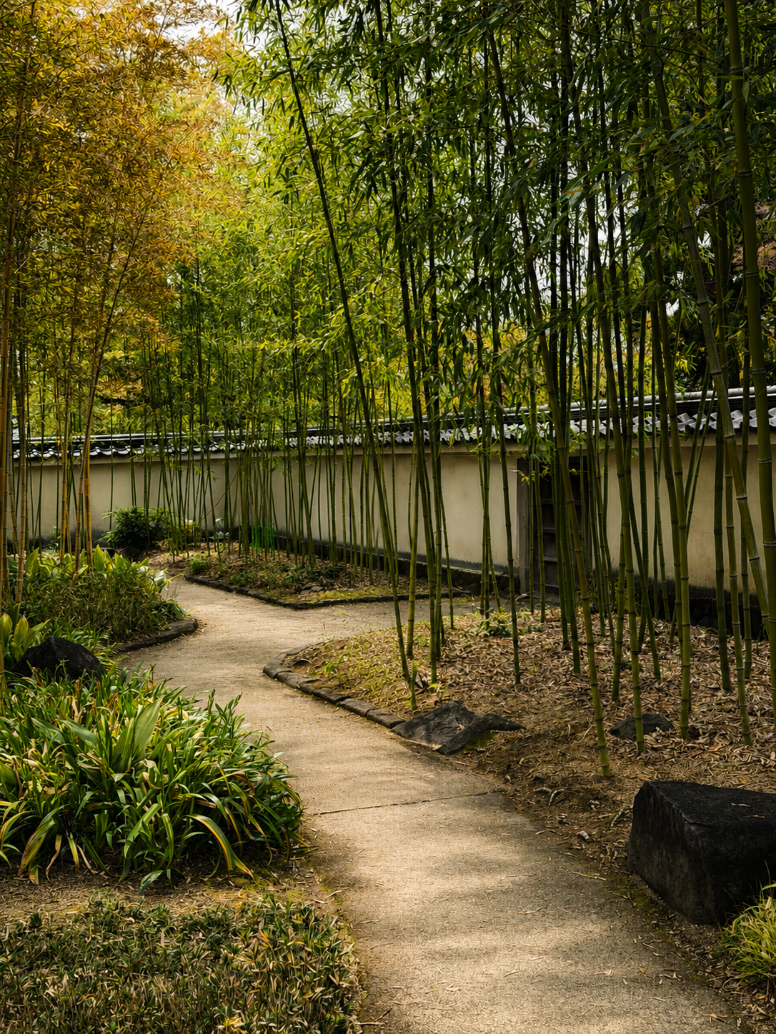 A bamboo grove path beside a white garden wall in Koko-en