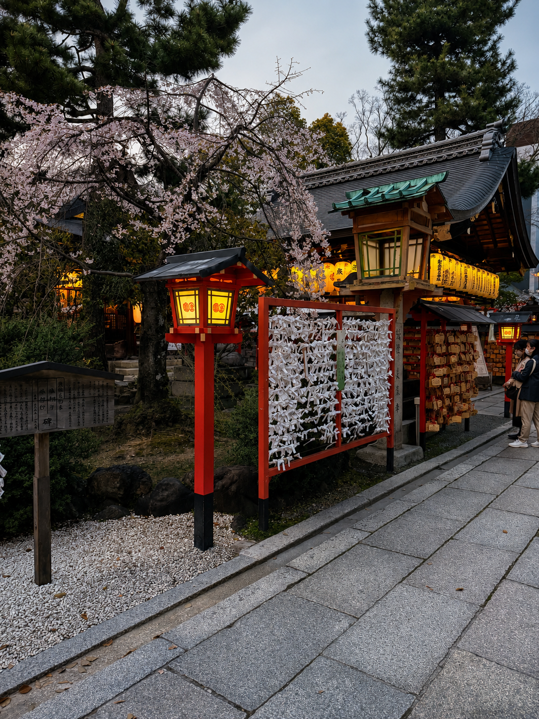 A shrine at dusk with red lanterns, a wall of ema prayer plaques, a weeping cherry tree