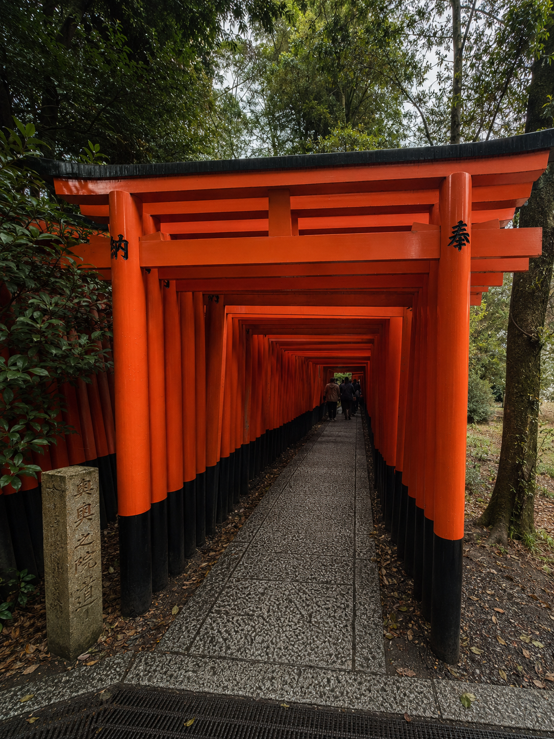 The vermillion torii tunnel of Fushimi Inari, people climbing, daylight