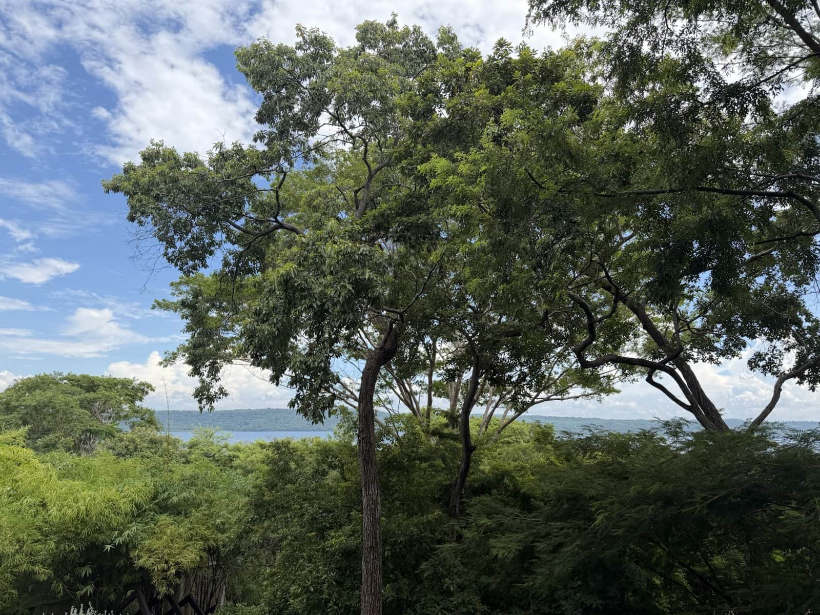 Culebra Bay seen through tropical trees from the Ostra terrace, green hills across the water and a blue sky with soft clouds