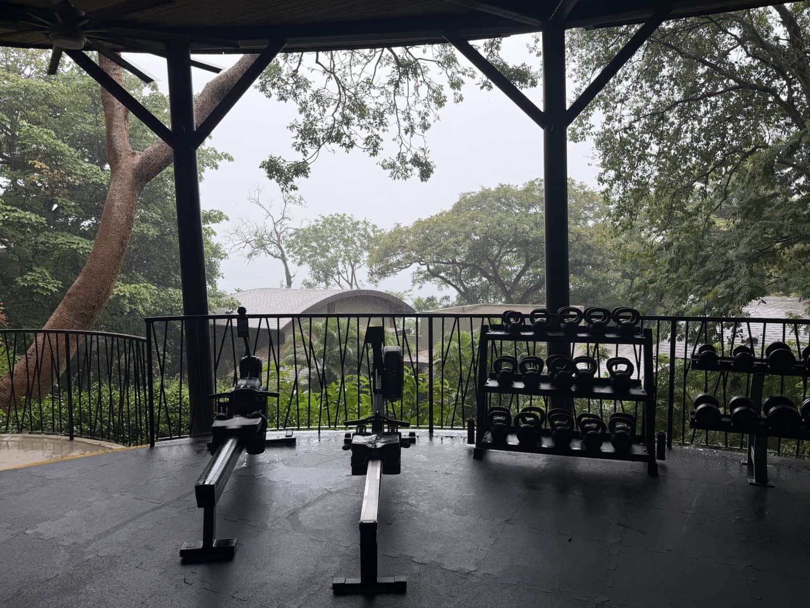 The open-air gym in a heavy afternoon downpour, rowing machines and weights under a roof, misty forest beyond