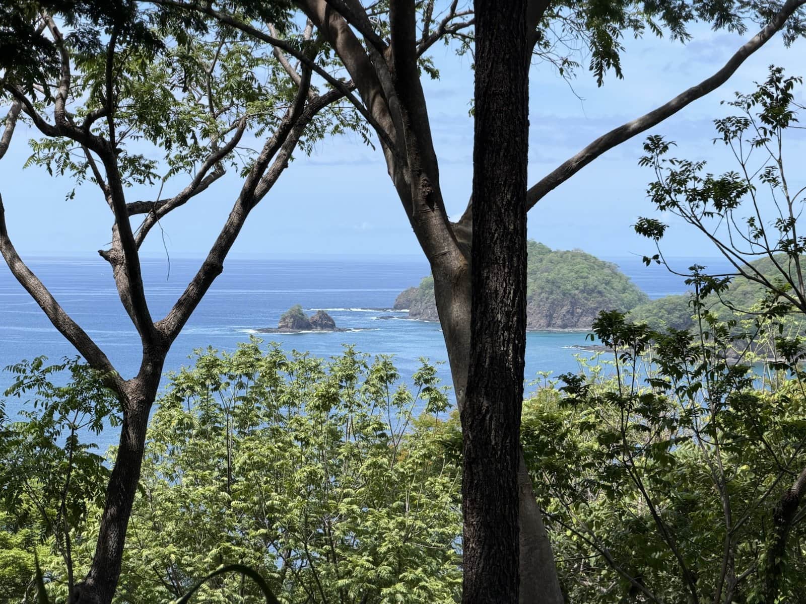 Rocky islets in the open Pacific seen through tree trunks from the peninsula's ocean side
