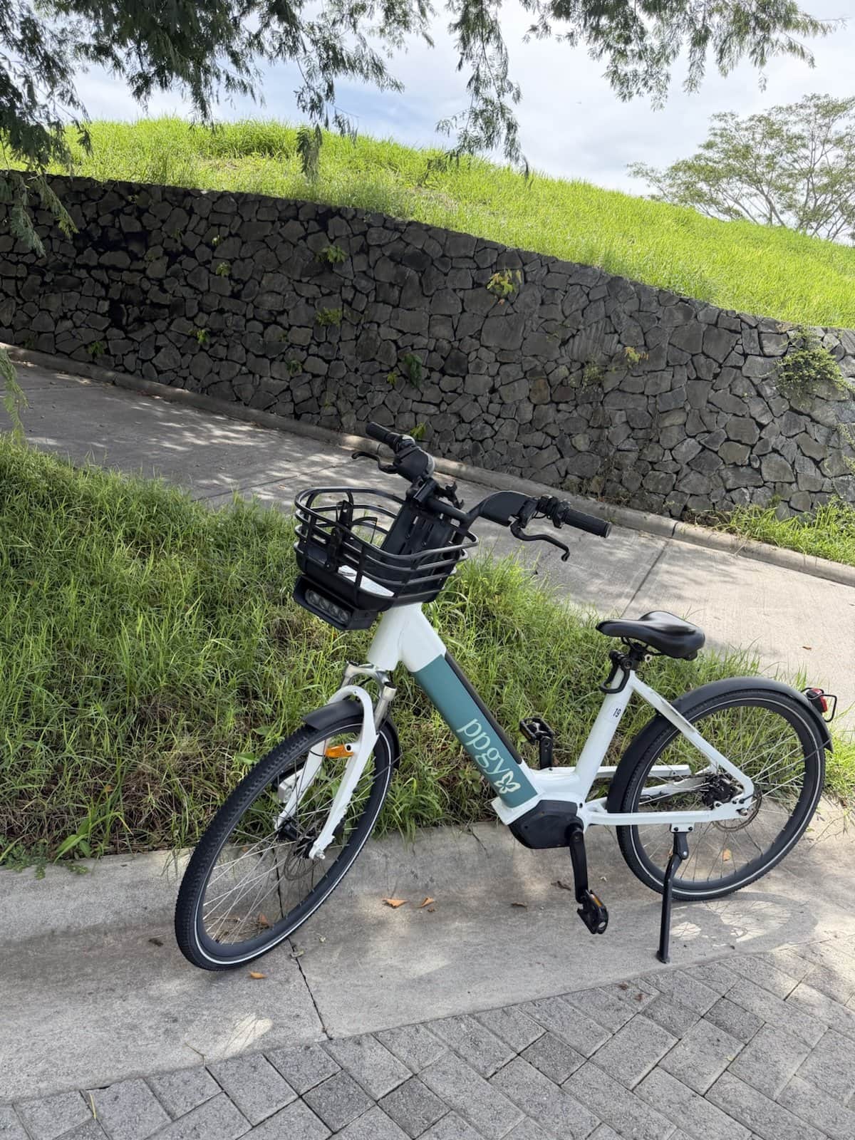 A white PPGY Bike Share e-bike parked against a lava-stone wall beside a paved path